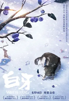 色黄app下载